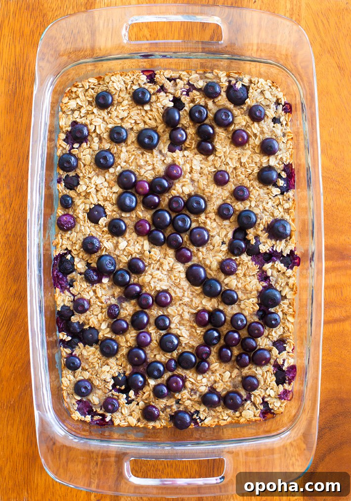 Blueberry Baked Oatmeal Casserole
