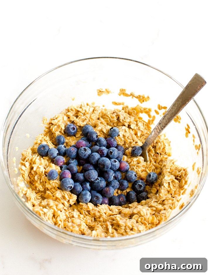 Blueberry Oats