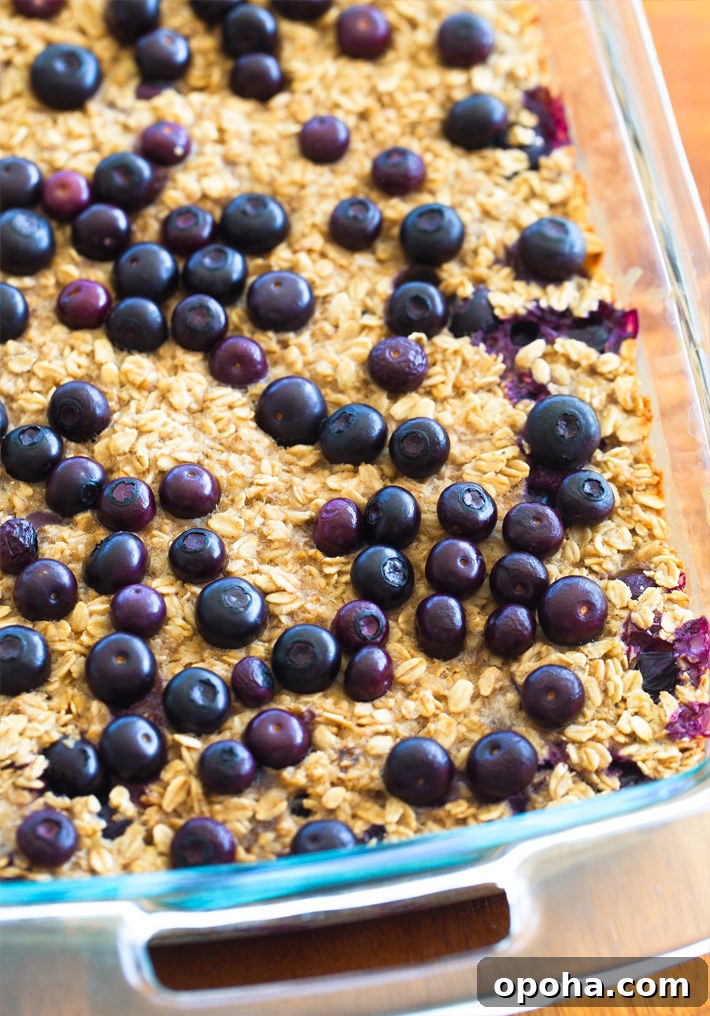 Baked Blueberry Oatmeal Bars