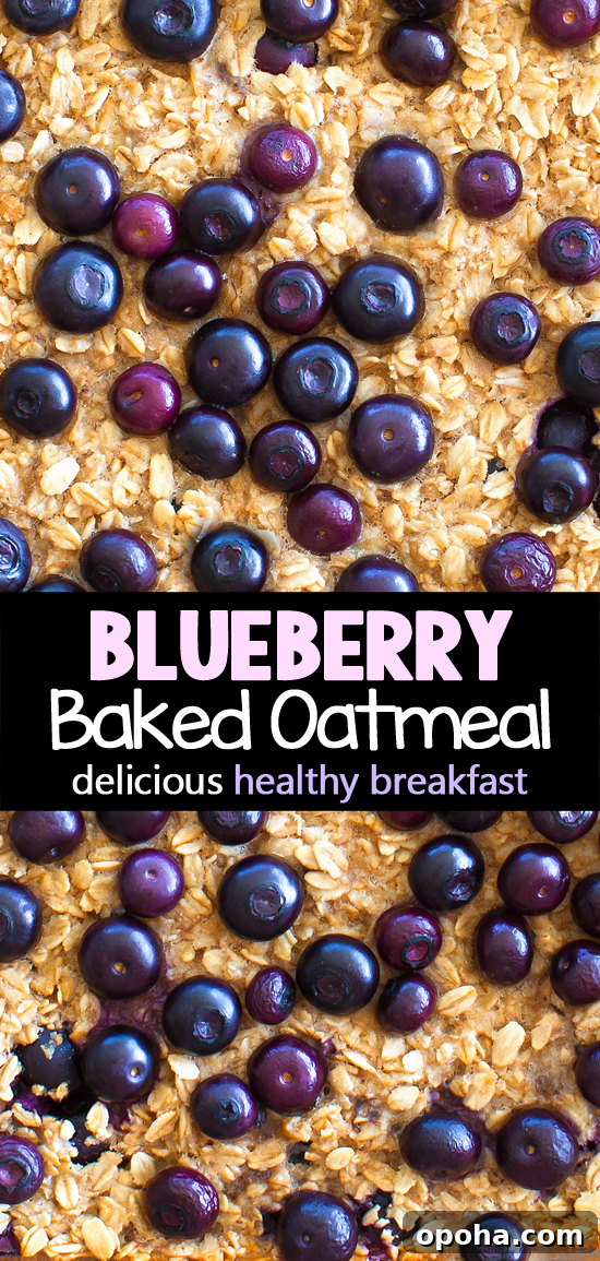 Breakfast Blueberry Baked Oats