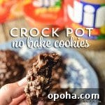 Crock Pot Lucky Charms Marshmallow Treats 8 Crock Pot No Bake Cookies