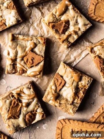 Cookie butter squares on brown parchment paper.