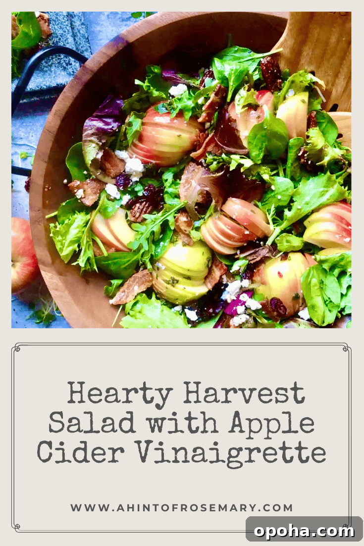 Hearty Harvest Salad with Apple Cider Vinaigrette Recipe 12 Hearty Harvest Salad with Apple Cider Vinaigrette