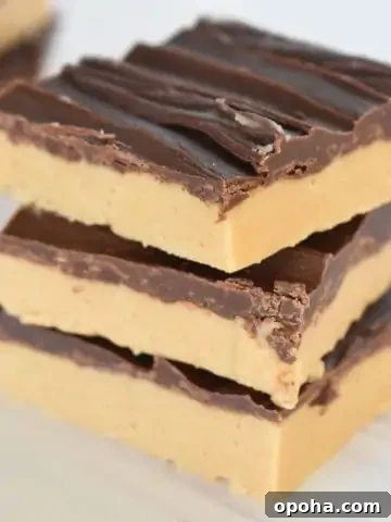 No Bake Chocolate Peanut Butter Bars