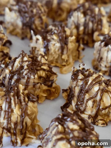 No Bake Cookie Butter Cookies.