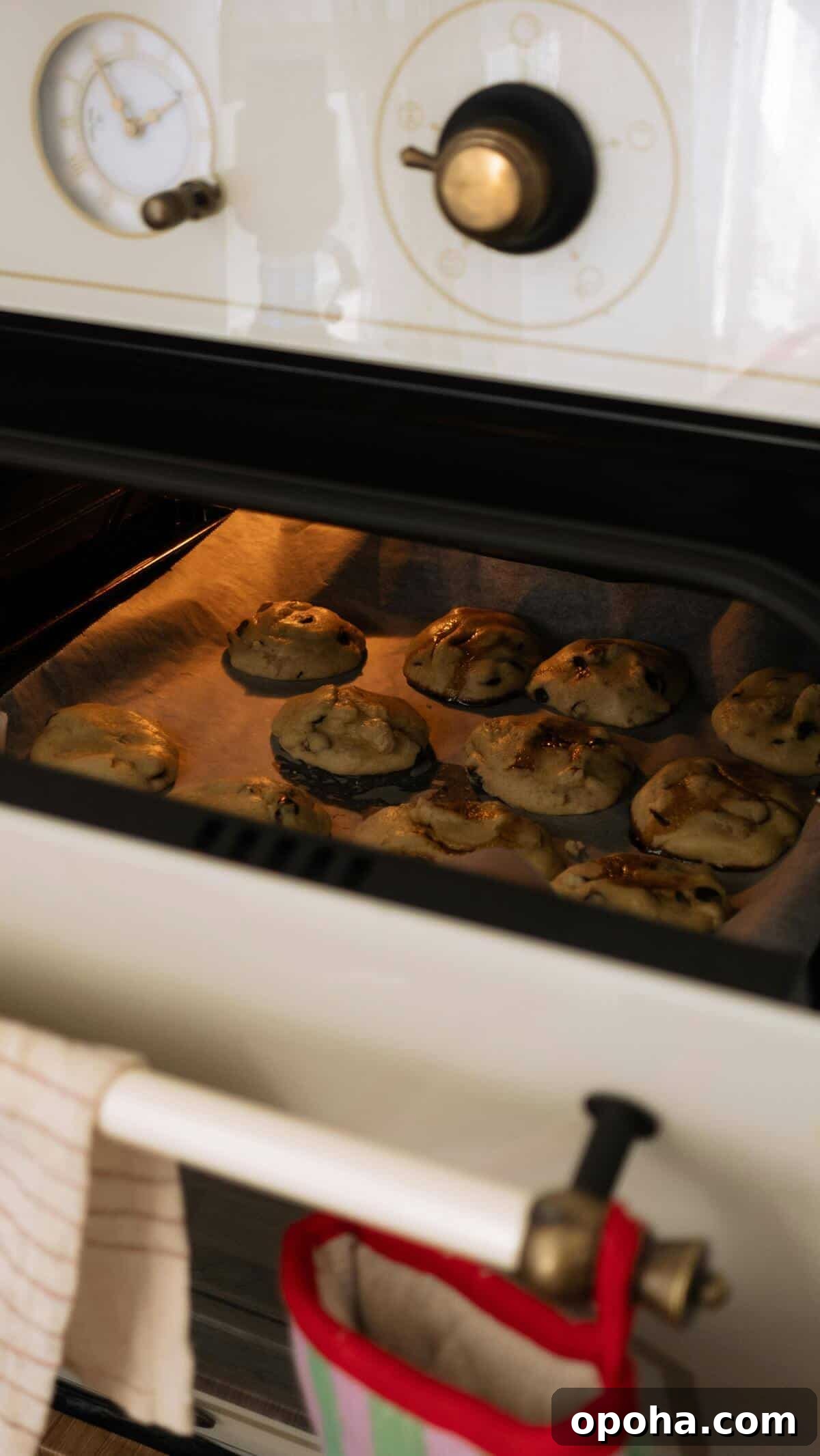 Essential Baking Fixes Every Home Baker Needs to Know 27 An oven.