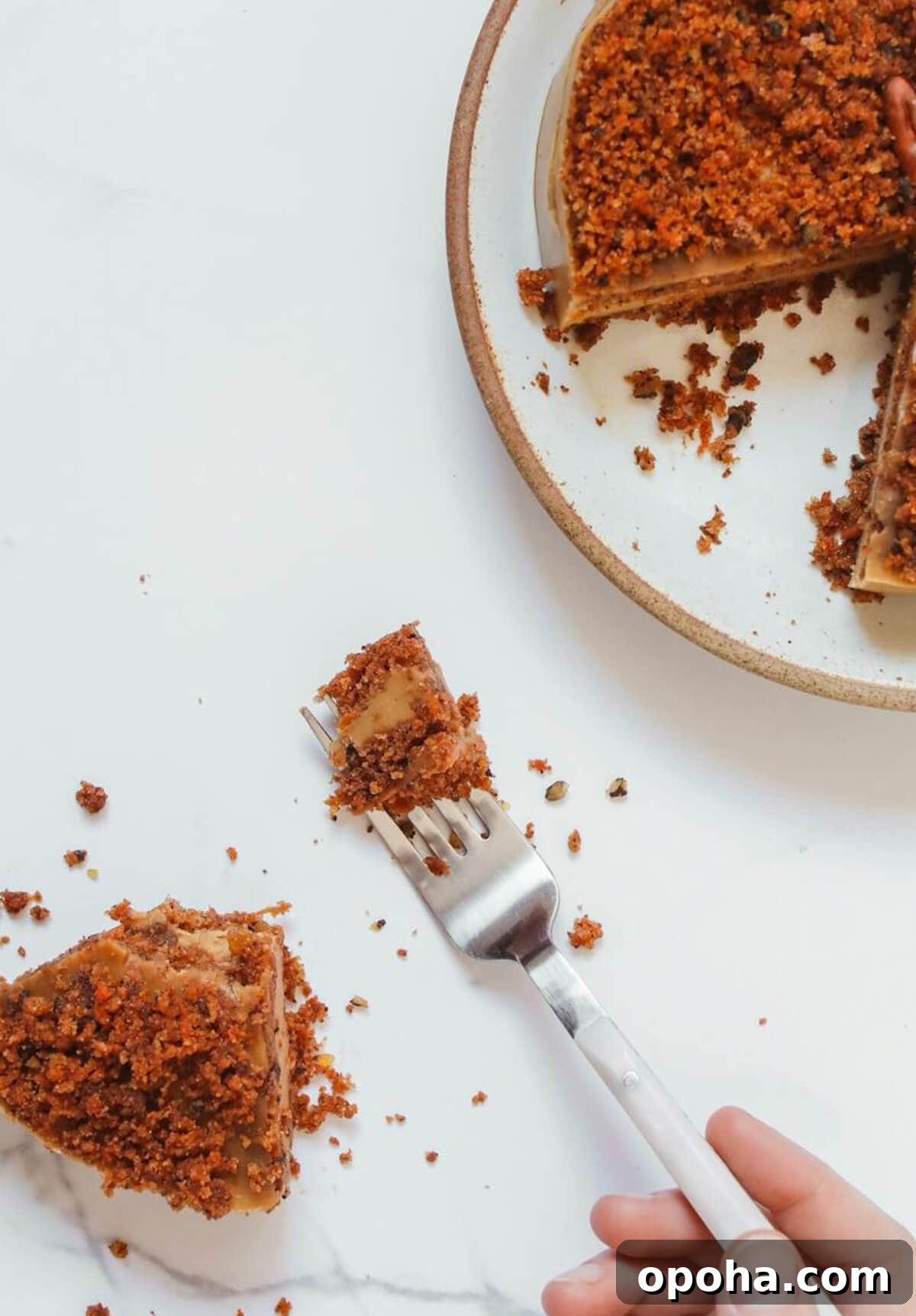 Essential Baking Fixes Every Home Baker Needs to Know 9 Dry cake.