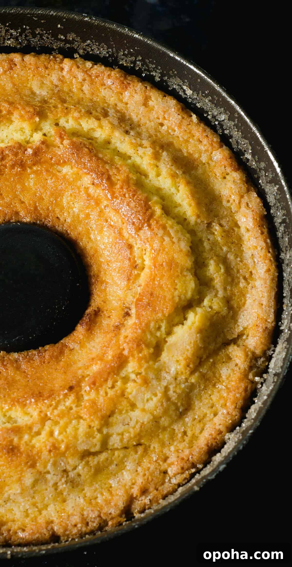 Essential Baking Fixes Every Home Baker Needs to Know 10 Cake stuck in pan.