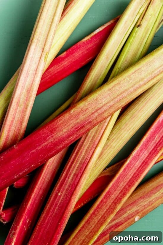 Cooking Rhubarb: Simple Recipes and Tips for Perfect Results 2 How to Cook Rhubarb
