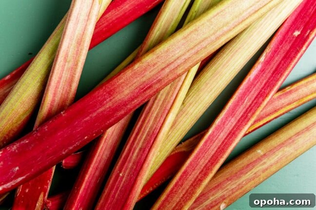 Cooking Rhubarb: Simple Recipes and Tips for Perfect Results 3 How to Cook Rhubarb