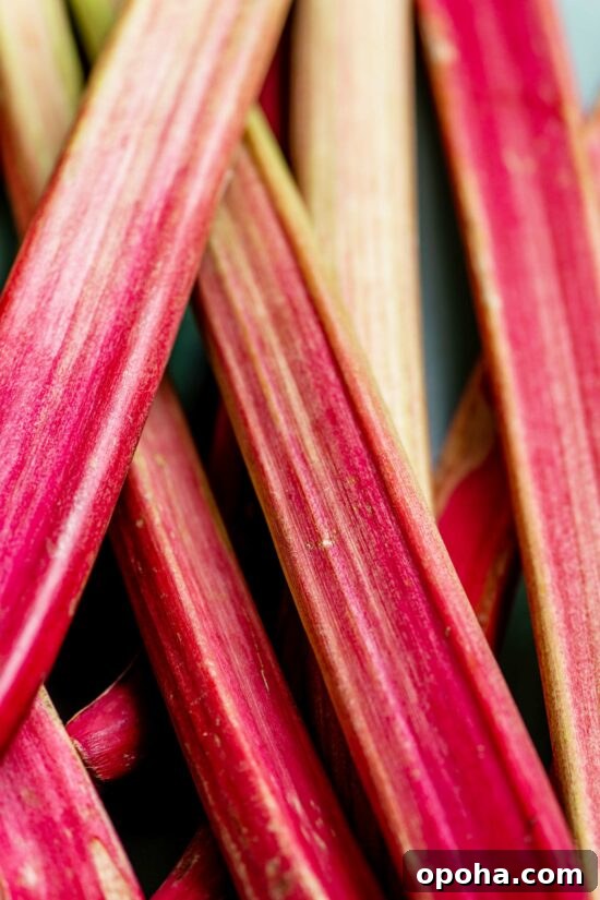 Cooking Rhubarb: Simple Recipes and Tips for Perfect Results 4 How to Cook Rhubarb