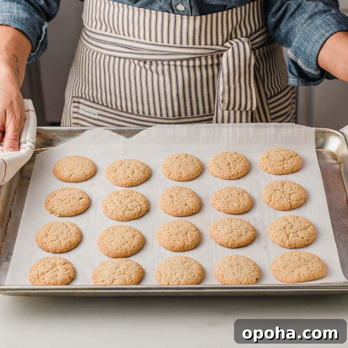 Gluten-Free Nilla-Style Vanilla Wafers: Crunchy Homemade Recipe 2 Nilla wafers gluten free on baking sheet.