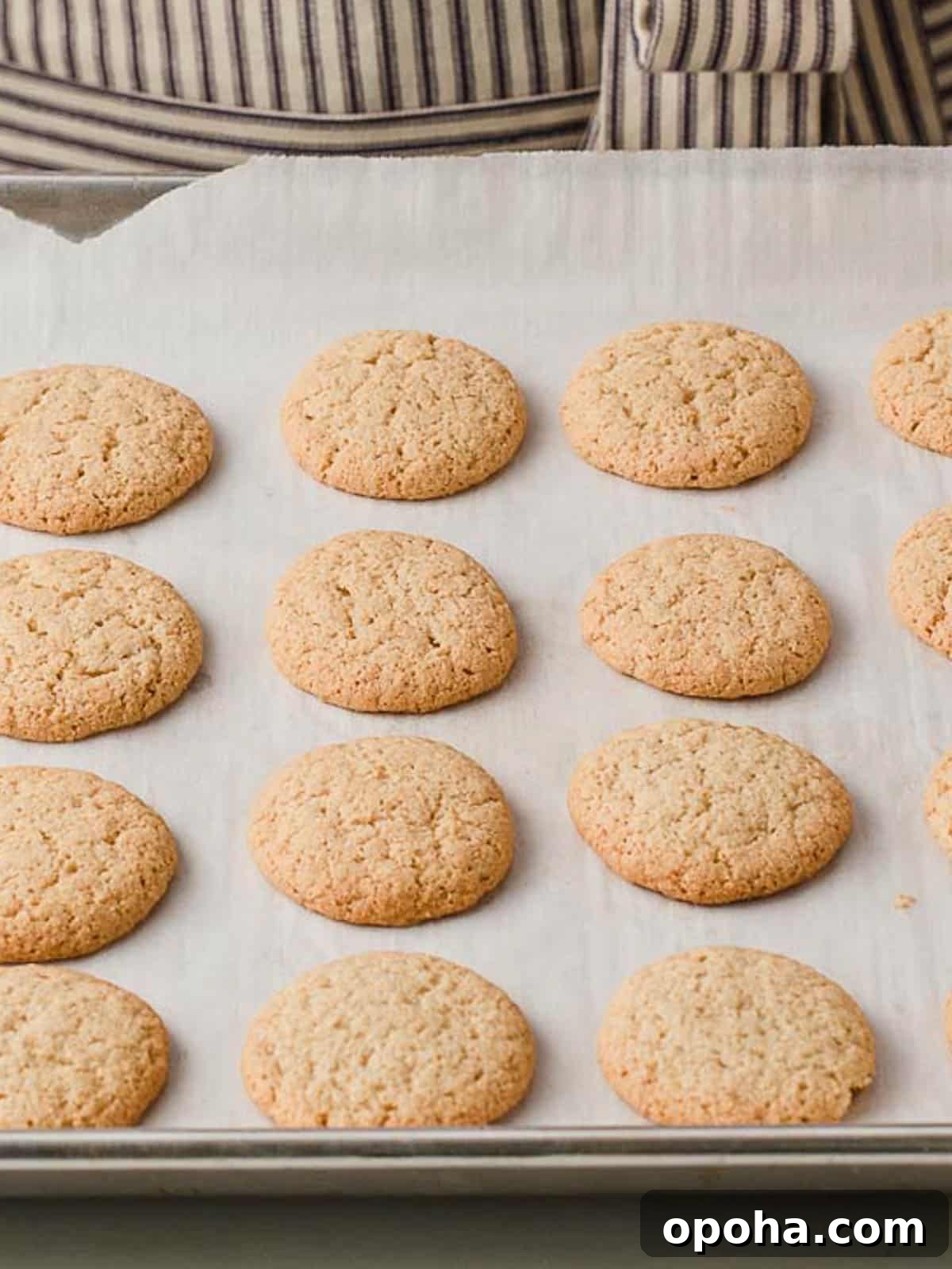 Gluten-Free Nilla-Style Vanilla Wafers: Crunchy Homemade Recipe 3 Gluten free nilla wafers closeup.