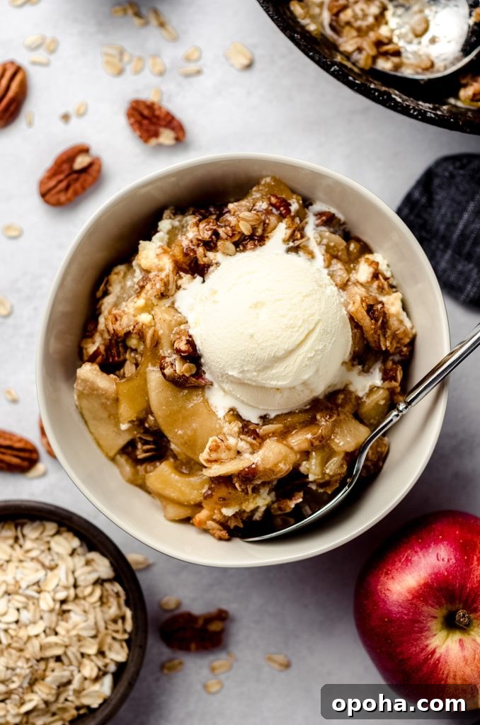 Apple Quinoa Granola Recipe: Crunchy Baked Apple Quinoa Clusters 9 aerial photo of warm apple crisp in a bowl with a scoop of vanilla ice cream
