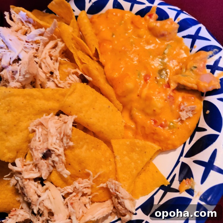 Pit Boss Smoked Queso Dip — Creamy BBQ Cheese Dip Recipe 7 Smoked Queso Served With Tortilla