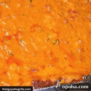 Pitboss smoked queso in tin foil pan