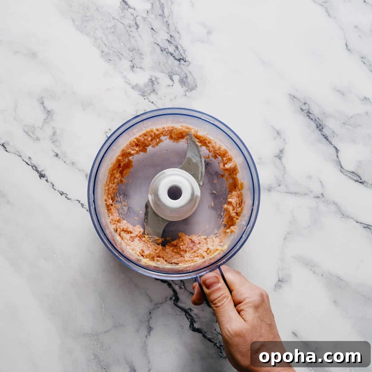 a food processor with chopped fresh salmon.