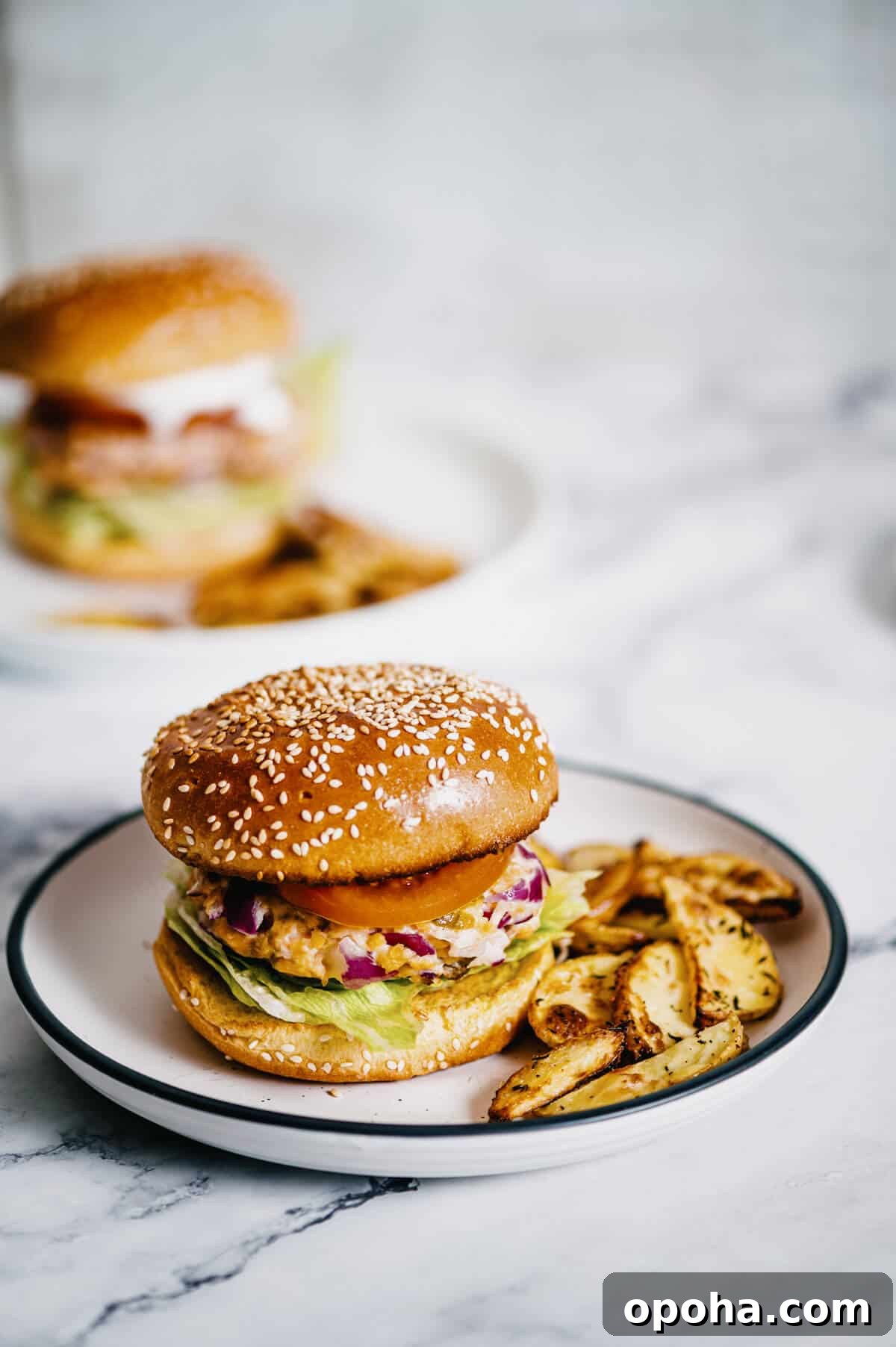 a grilled salmon burger on a white plate with fries.