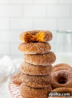 baked pumpkin donuts in a stack with top donut with a bite