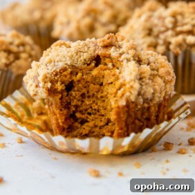 Moist Pumpkin Muffins Recipe for Fall Baking 13 pumpkin muffin with a bite taken out on top of a paper liner