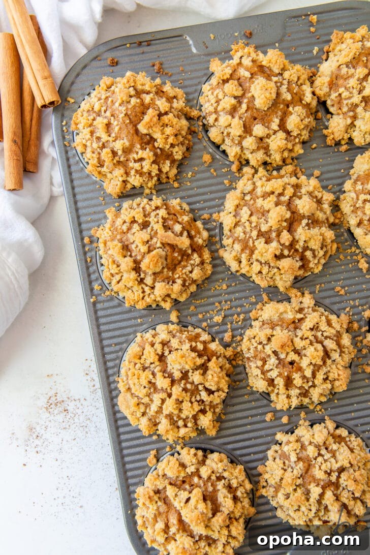 Moist Pumpkin Muffins Recipe for Fall Baking 6 pumpkin muffins in pan with streusel topping on muffins and pan