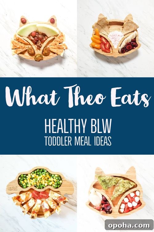 Baby-Led Weaning Meal Ideas: What Theo Loves to Eat 8 This is what my son eats. BLW meal ideas that include animal shaped plates. Each plate contains a different meal that is featured in the post. There is text in the middle with a blue background.