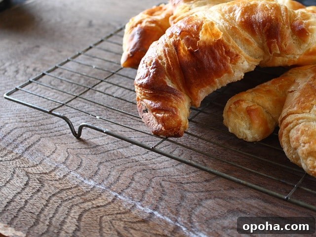 How to make French Croissants at home 2 Croissants baking patiserie
