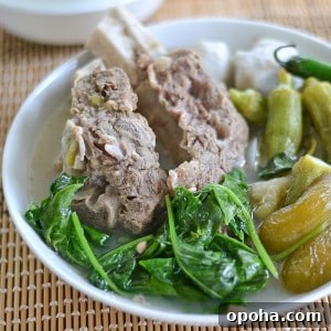 Beef Ribs Sinigang with Kamias (Bilimbi) — Tangy Filipino Stew 4 img 3298 4