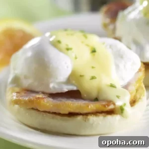 hollandaise sauce