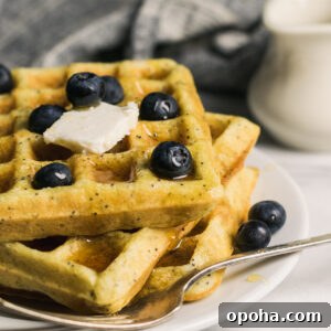 gluten free lemon poppyseed waffles