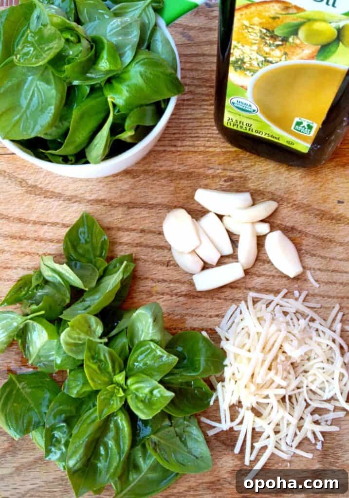 Freeze Fresh Basil in Ice Cube Trays: Step-by-Step Guide 2 basil cube ingredients: fresh basil, Parmesan cheese, garlic, and olive oil.