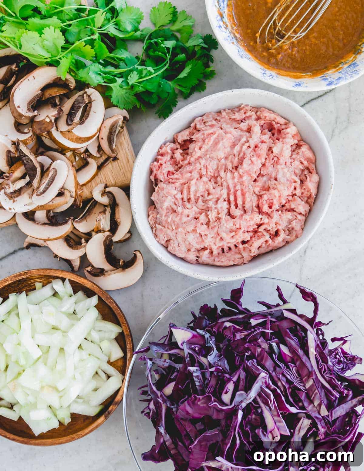 Ingredients to make a pork and cabbage skillet recipe including ground pork, sliced red cabbage, sliced mushrooms, chopped onion and an Asian stir fry sauce. Ingredients to make a pork and cabbage skillet recipe including ground pork, sliced red cabbage, sliced mushrooms, chopped onion and an Asian stir fry sauce.
