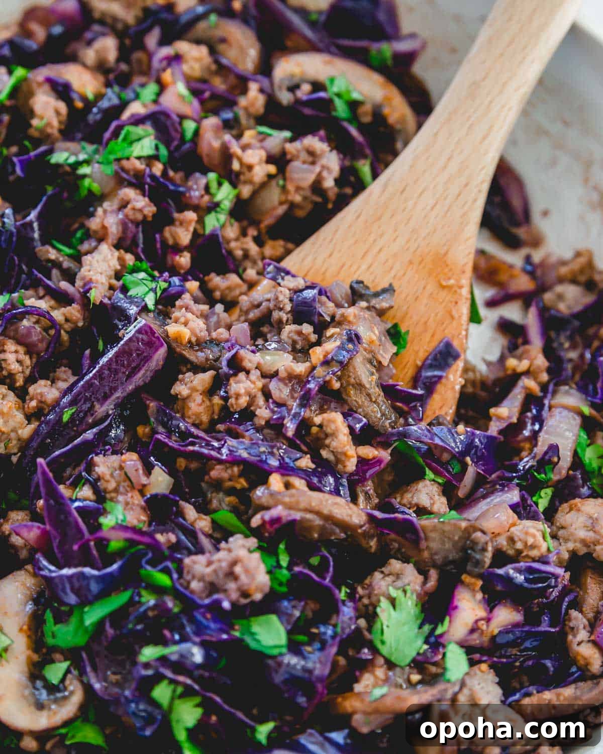 Ground pork and cabbage recipe in a skillet with a wooden spatula. Ground pork and cabbage recipe in a skillet with a wooden spatula.