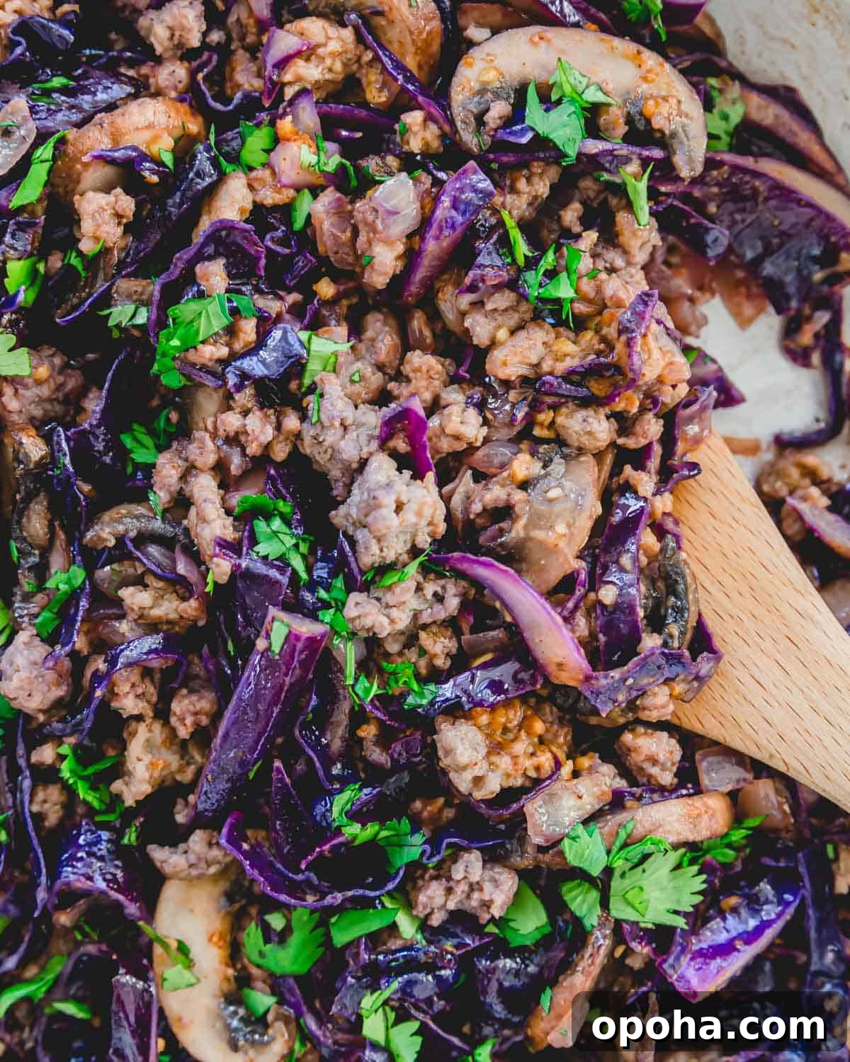 Pork with cabbage stir fry tossed with an Asian almond butter soy sauce in a skillet. Pork with cabbage stir fry tossed with an Asian almond butter soy sauce in a skillet.