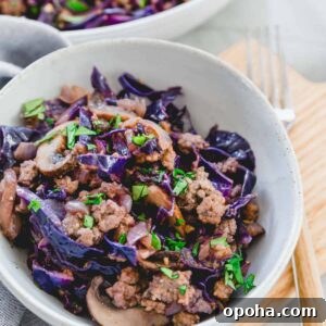 Savory Pork and Cabbage Stir-Fry Recipe for Quick Weeknight Meals 2 Pork and cabbage stir fry.