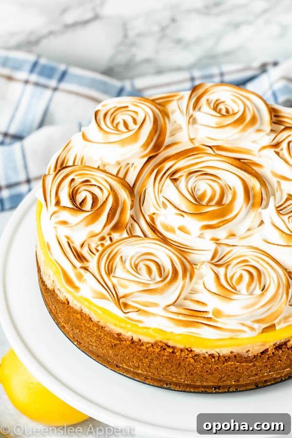 graham cracker crust, lemon cheesecake, lemon curd topping, meringue rosettes