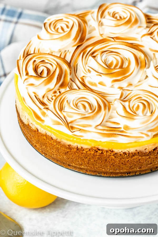 lemon meringue cheesecake with graham cracker crust, lemon cheesecake, lemon curd topping, meringue rosettes