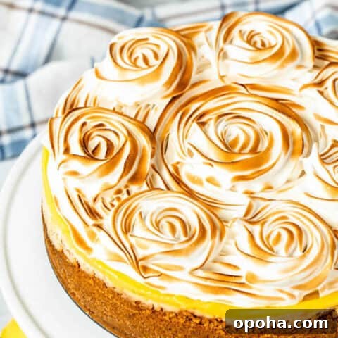 Lemon Meringue Cheesecake