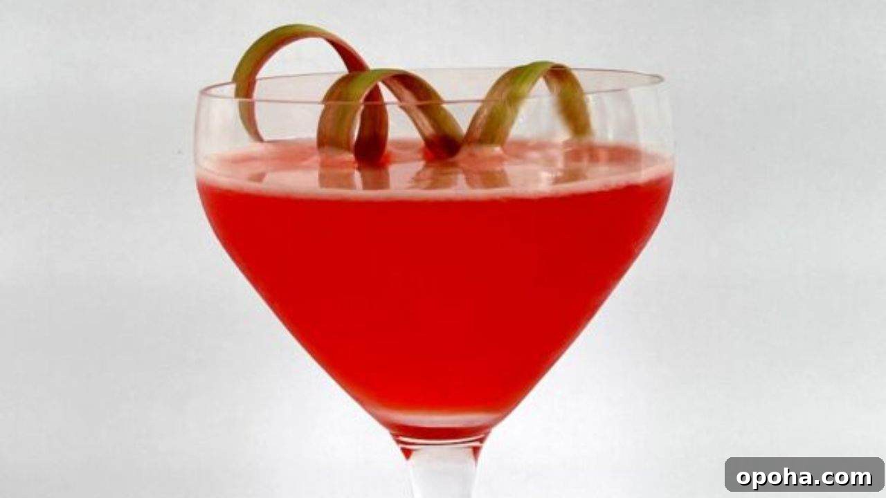 15 Homemade Syrups to Elevate Your Drinks and Desserts 6 Rhubarb Simple Syrup