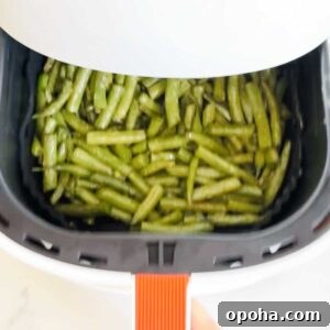 Creamy Peanut-Sauce Green Beans (Air Fryer Recipe) 8 img 35622 8