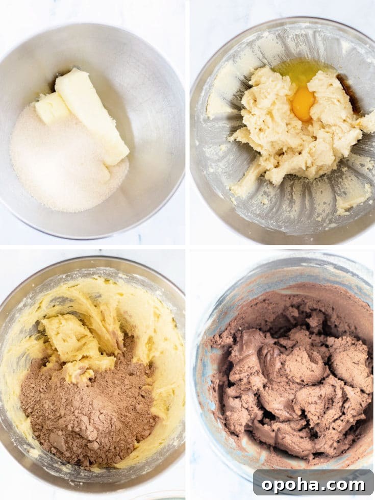 Chocolate Icebox Cookies Recipe — Perfect for Decorating 3 chocolate cookie steps collage