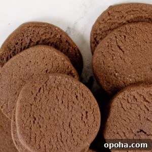 Chocolate Icebox Cookies Recipe — Perfect for Decorating 6 chocolate cookies recipe