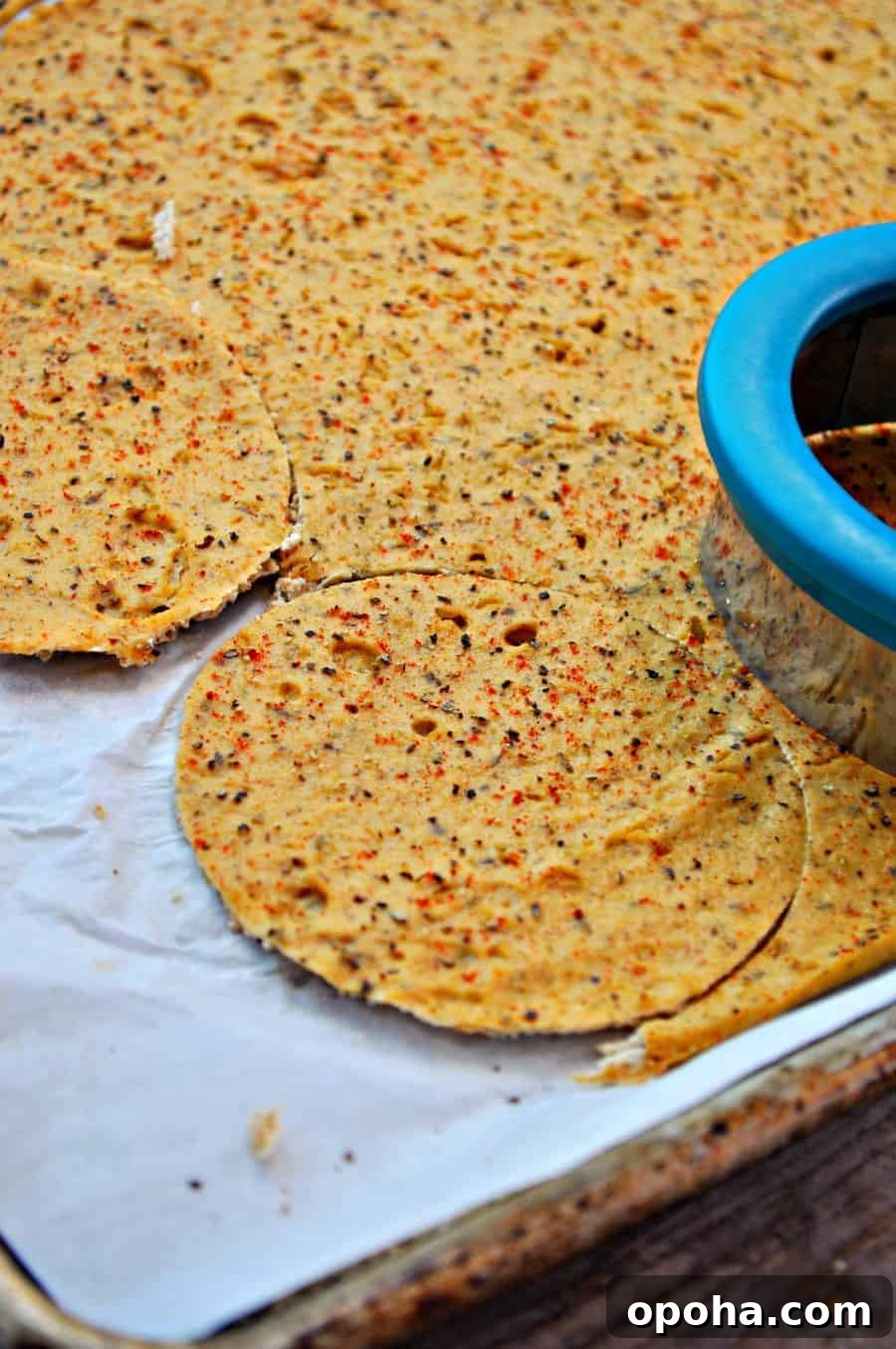 Plant-Based Lunch Meats: Savory Vegan Deli Cuts for Sandwiches 3 img 3648 3