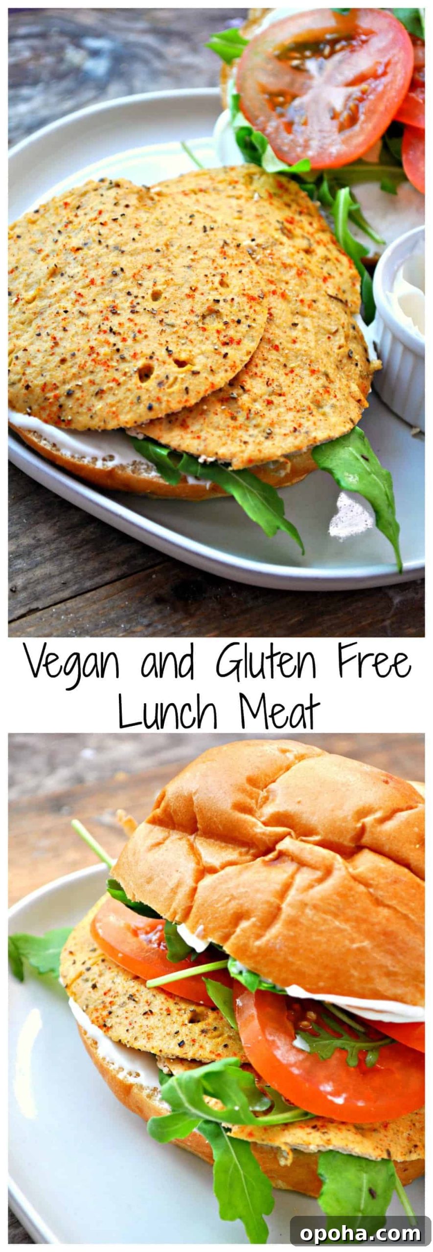 Plant-Based Lunch Meats: Savory Vegan Deli Cuts for Sandwiches 9 img 3648 9 scaled