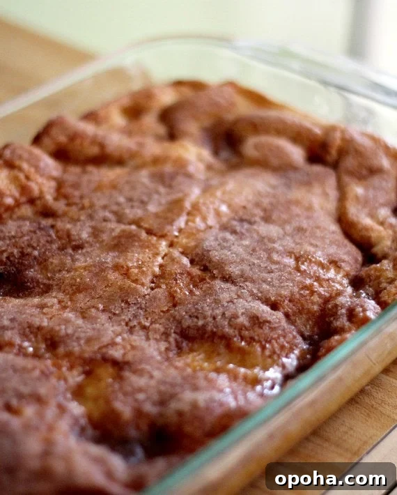 Baked Sopapilla Cheesecake Bars Baked churro cheesecake in a glass baking dish.