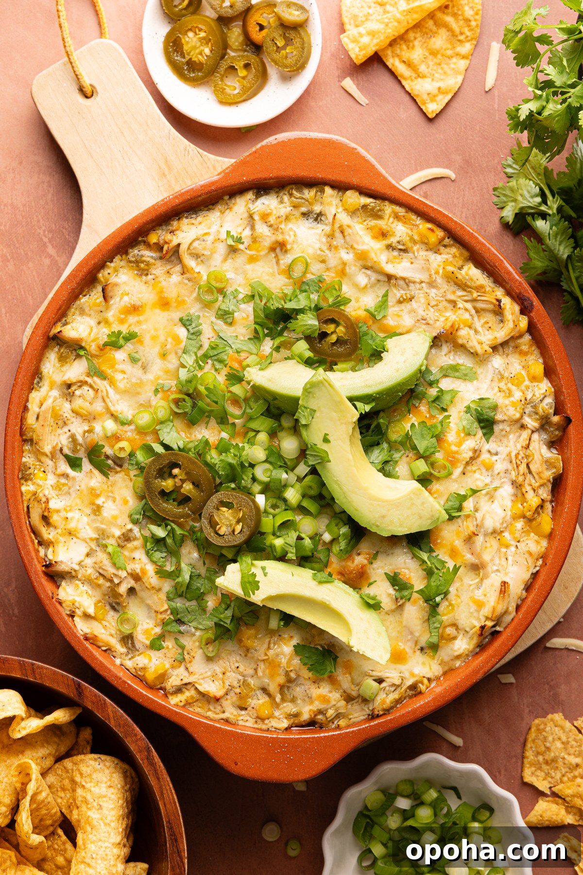 A close up photo of hot green chile chicken enchilada dip garnished with chopped cilantro, sliced green onion, sliced avocado and pickled jalapenos