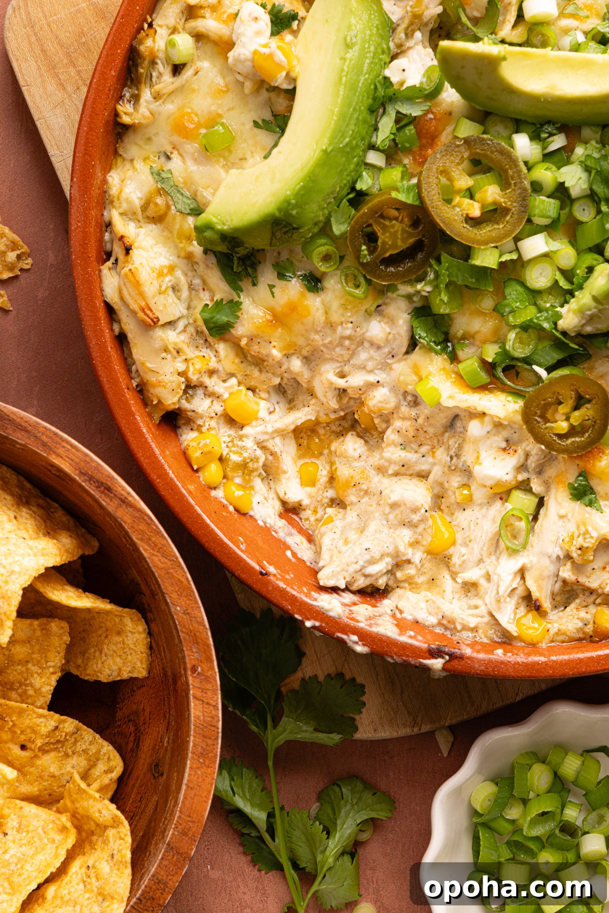A close up photo of hot and bubbling green chile chicken enchilada dip sitting next to a bowl of tortilla chips and sliced green onion
