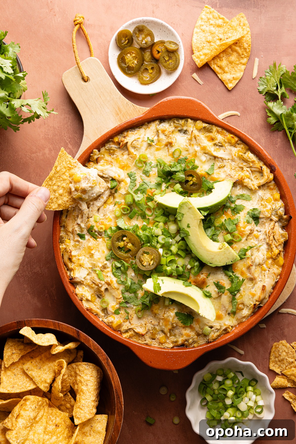 A baking dish filled with hot chicken enchilada dip garnished with cilantro, green onion, pickled jalapenos and sliced avocado