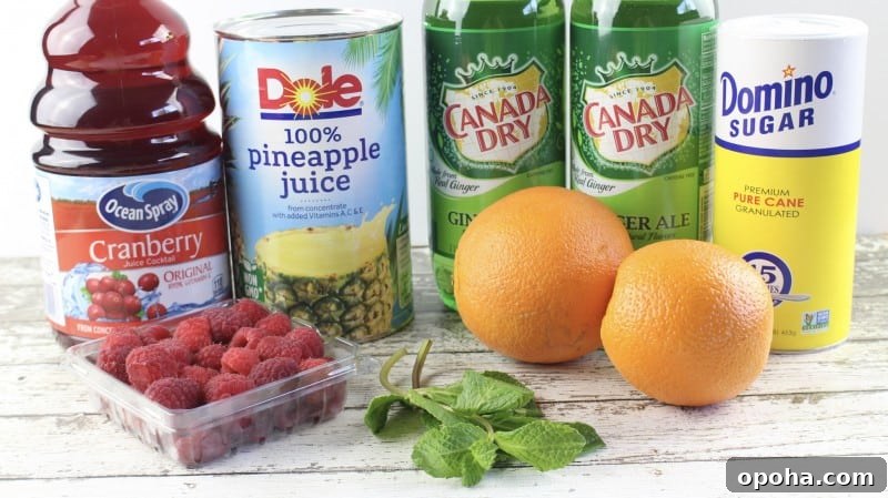 Sparkling Cranberry Wedding Punch — Non-Alcoholic Party Drink 3 Ingredients for Wedding Punch