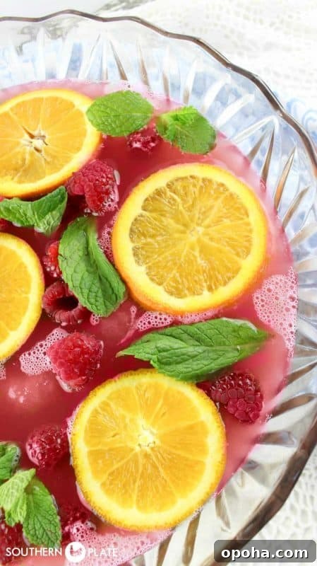 Sparkling Cranberry Wedding Punch — Non-Alcoholic Party Drink 7 Wedding Punch